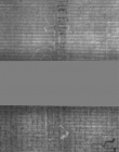 Wasserzeichen DE5025-Philol16_268