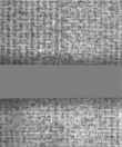 Wasserzeichen DE5025-Philol16_326