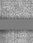 Wasserzeichen DE5025-Philol16_328