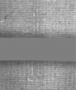 Wasserzeichen DE5025-Philol16_337
