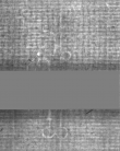 Wasserzeichen DE5025-Philol16_348