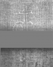Wasserzeichen DE5025-Philol16_373