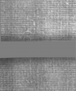Wasserzeichen DE5025-Philol16_376