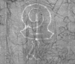 Wasserzeichen DE8100-Cod.Don.593a_88