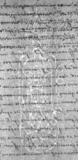 Wasserzeichen DE8100-Cod.Don.704_125