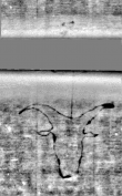 Wasserzeichen DE5580-Cgm9646_74