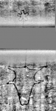 Wasserzeichen DE5580-Cgm9646_304
