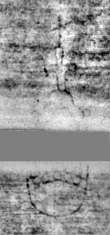 Wasserzeichen DE5580-Cgm9646_326