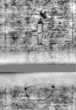 Wasserzeichen DE5580-Cgm9646_100