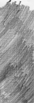 Wasserzeichen DE8850-D_380a.2°_Helmst_76