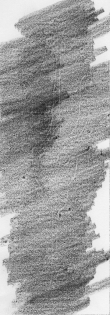 Wasserzeichen DE8850-D_380a.2°_Helmst_97
