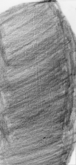 Wasserzeichen DE8850-D_380a.2°_Helmst_101