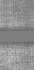 Wasserzeichen DE5025-Philos01_24