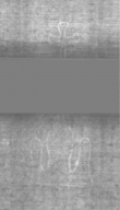 Wasserzeichen DE5025-Philos01_50