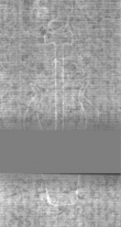 Wasserzeichen DE5025-Philos02_102