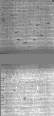 Wasserzeichen DE5025-Philos02_109