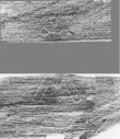 Wasserzeichen DE5025-Philos11_20