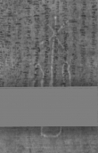 Wasserzeichen DE5025-Philos11_262