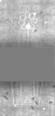 Wasserzeichen DE5025-Philos07_20