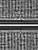 Wasserzeichen FR7600-559_161