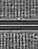 Wasserzeichen FR7600-559_172