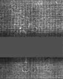 Wasserzeichen DE5025-Philol16_348