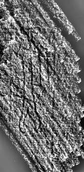 DE0960-4Inc641.12_M1