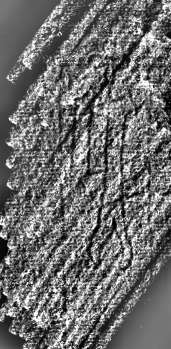 DE0960-4Inc641.12_M1