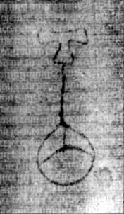 DE5580-2Incca2778e1_F1