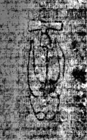DE5580-2Incca2783_C3