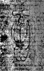 DE5580-2Incca2783_C3