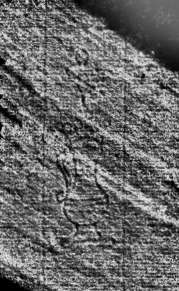 DE0960-Mtlf714_210
