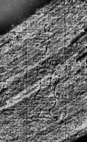 DE0960-Mtlf714_210