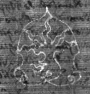 DE8100-Cod.Don.704_272,4