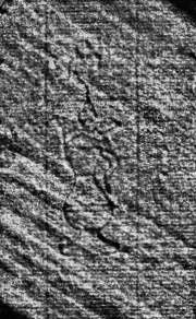DE0960-Mtlf714_214