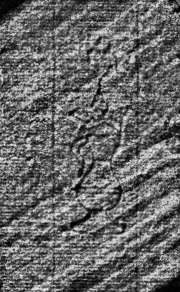 DE0960-Mtlf714_214