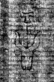 DE5580-2Incca34011_dd8