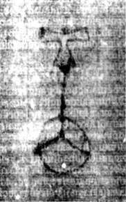 DE5580-2Incca2783_z2