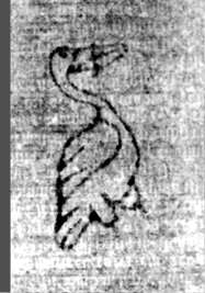 DE5580-2Incca1948b2_zz4