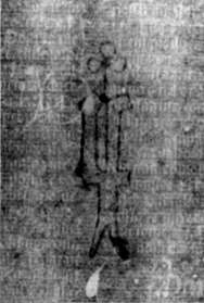 DE5580-2Incca3368_f8