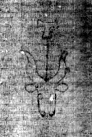 DE5580-2Incca34012_AA8
