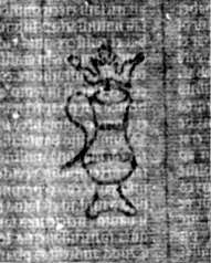 DE5580-2Incca2902_h5