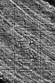 DE0960-Mtlf714_121