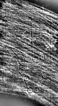 DE7260-Mss.theol.44_94