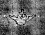 DE5580-2Incca2869_a1
