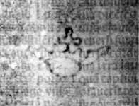 DE5580-2Incca2887a1_Bx2