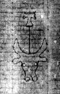 DE5580-2Incca3341_G6