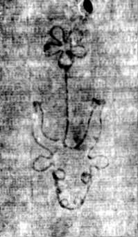 DE5580-2Incca1882-4_k3