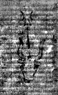 DE5580-2Incca2783_I3