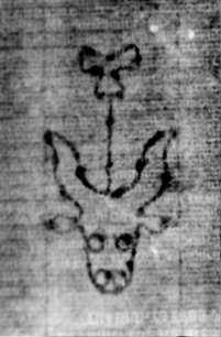 DE5580-2Incca1882-3_AA4